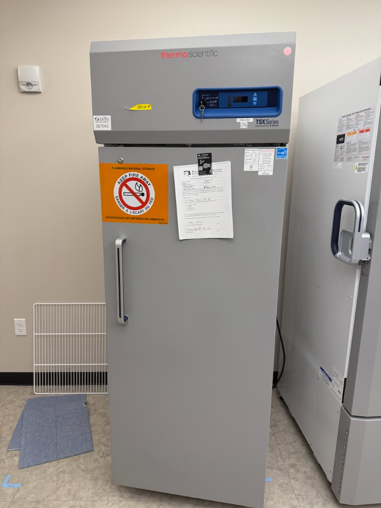 Image of Thermo TSX -20C Freezer